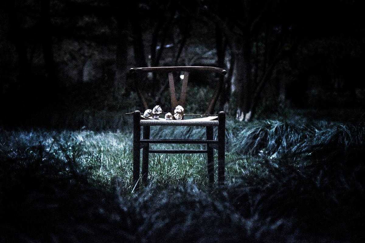 No.6-楊曉函的封面圖