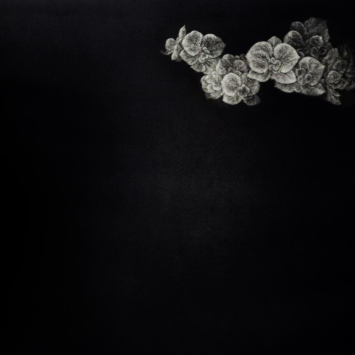 墨蘊花喻—12〈語—Phalaenopsis 之二〉的封面圖