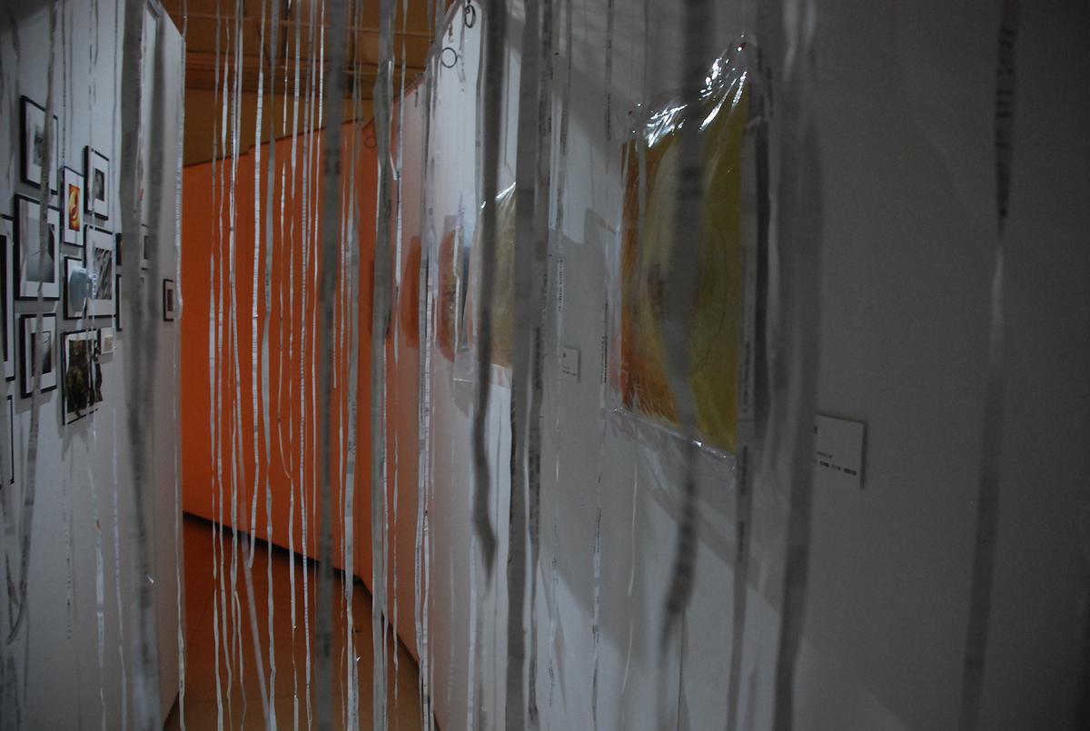 主體呈顯兩系列走道的封面圖