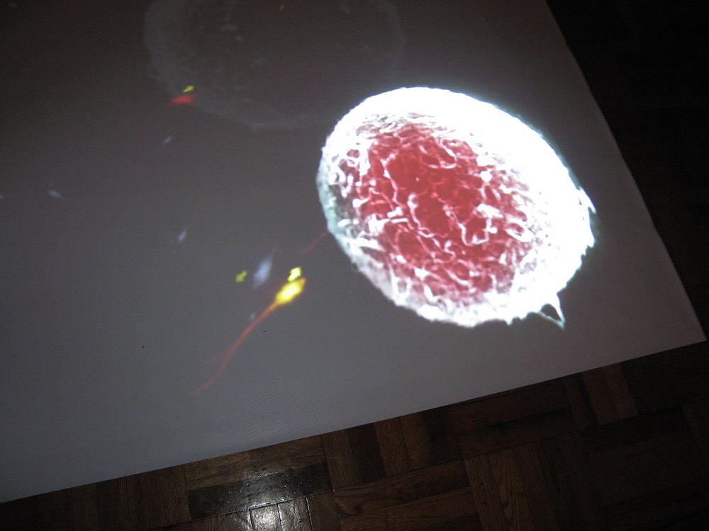 million heartbeats-26的封面圖