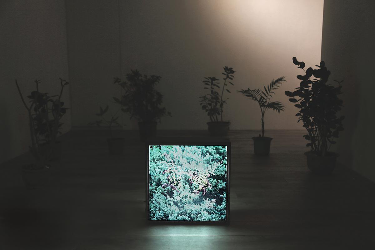 棲居詩學—梁家寧創作論述 《將至而未至—篇章上半》04的封面圖