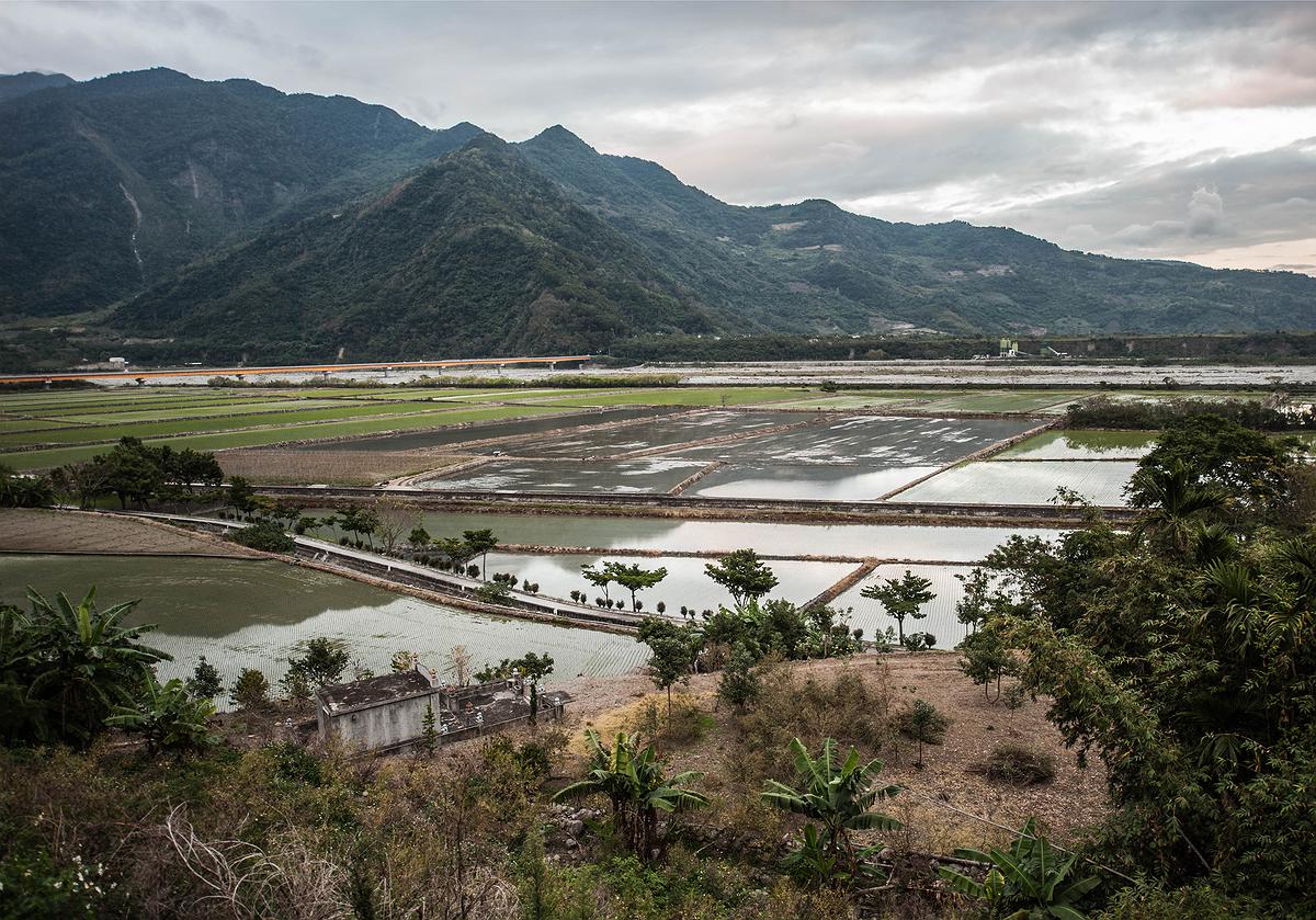 插秧-4的封面圖