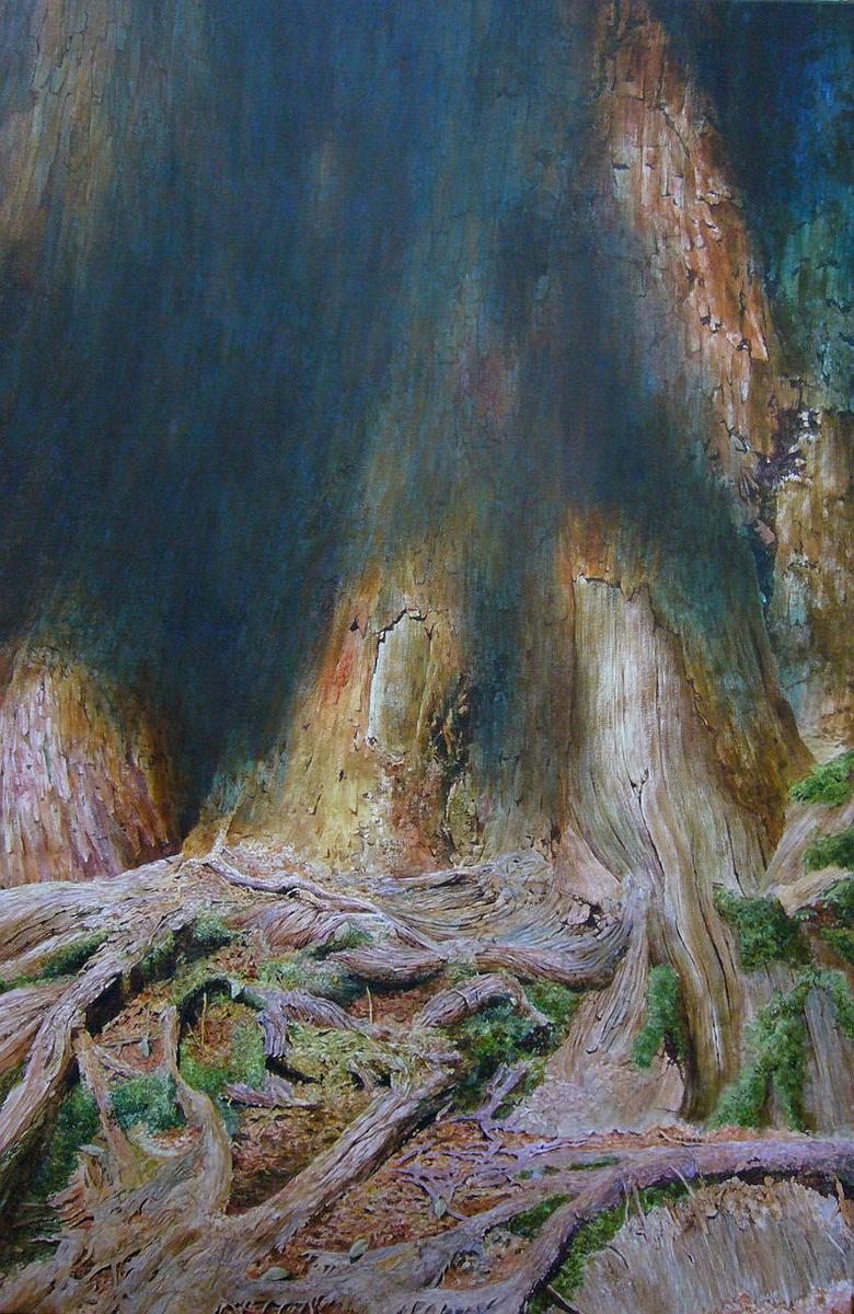 Cypress Series-歲月之紋的封面圖