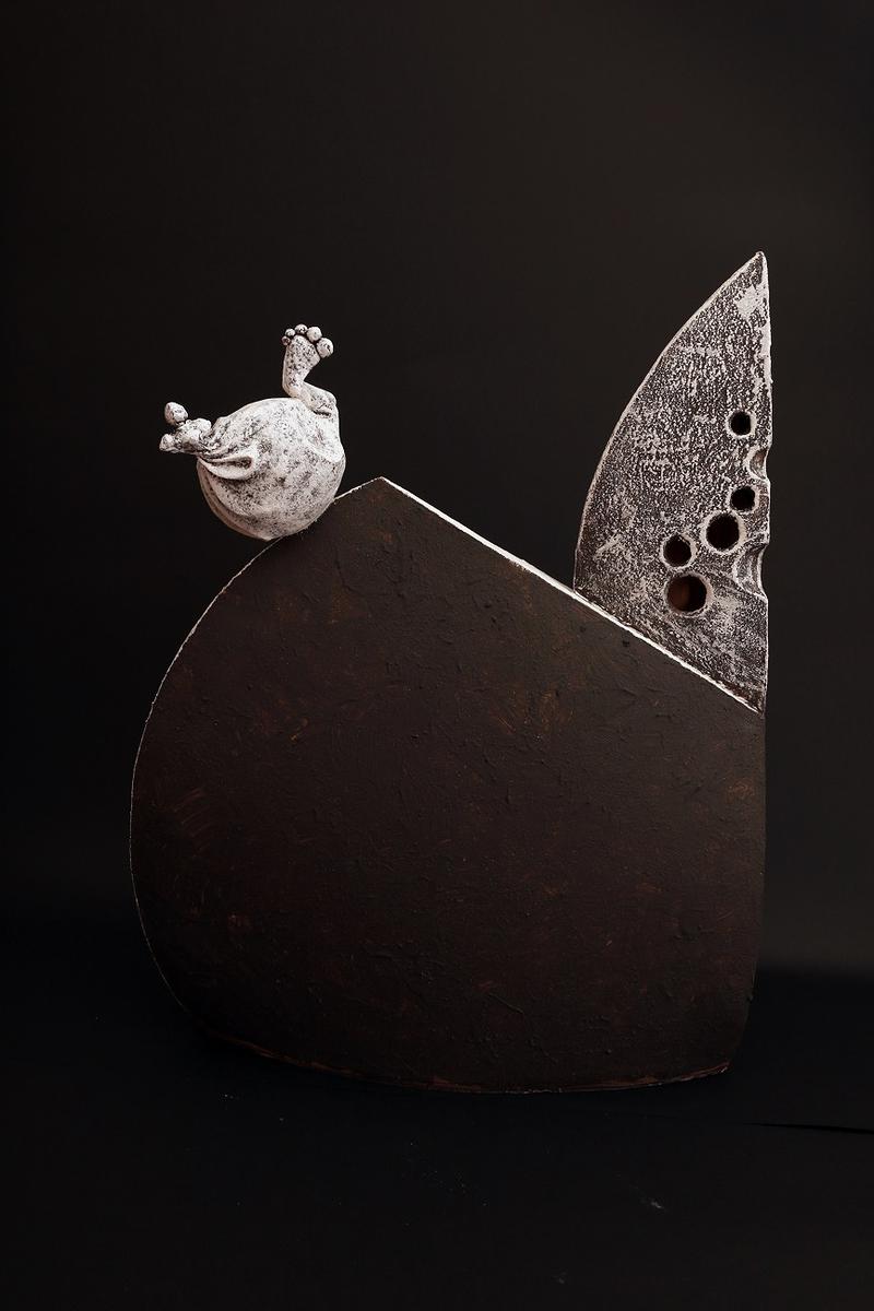 Between the Suppression and the Liberation : Self-interpretations of Tsai Jr-Yung's Ceramic Creations's Cover