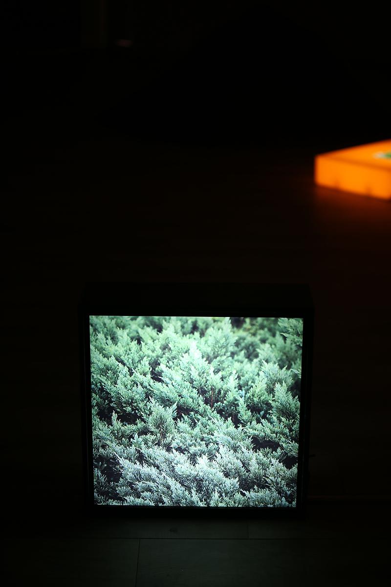 棲居詩學—梁家寧創作論述 《將至而未至—篇章上半》06的封面圖