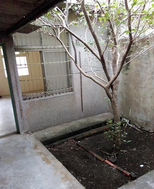 盆栽計劃 文件五的封面圖