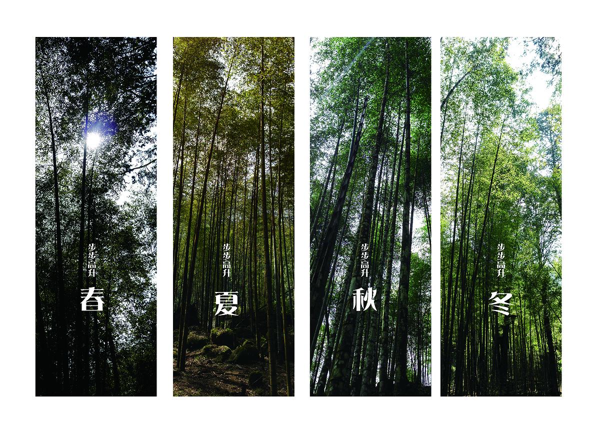 Integrity, a Full House of Bamboo The Studies of Bamboo Culture and Conceptual Images's Cover
