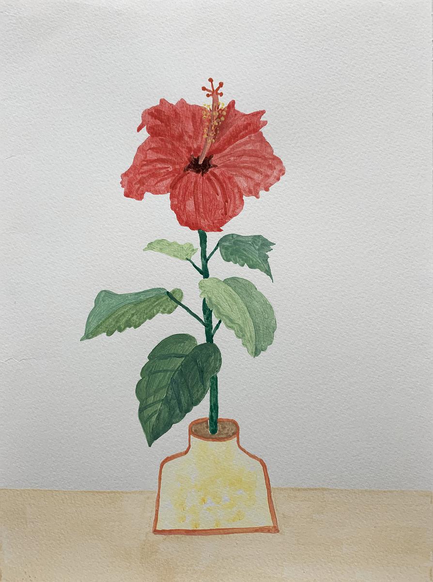 植物療癒—黃瑩瑄創作論述 花草系列 扶桑花 15的封面圖