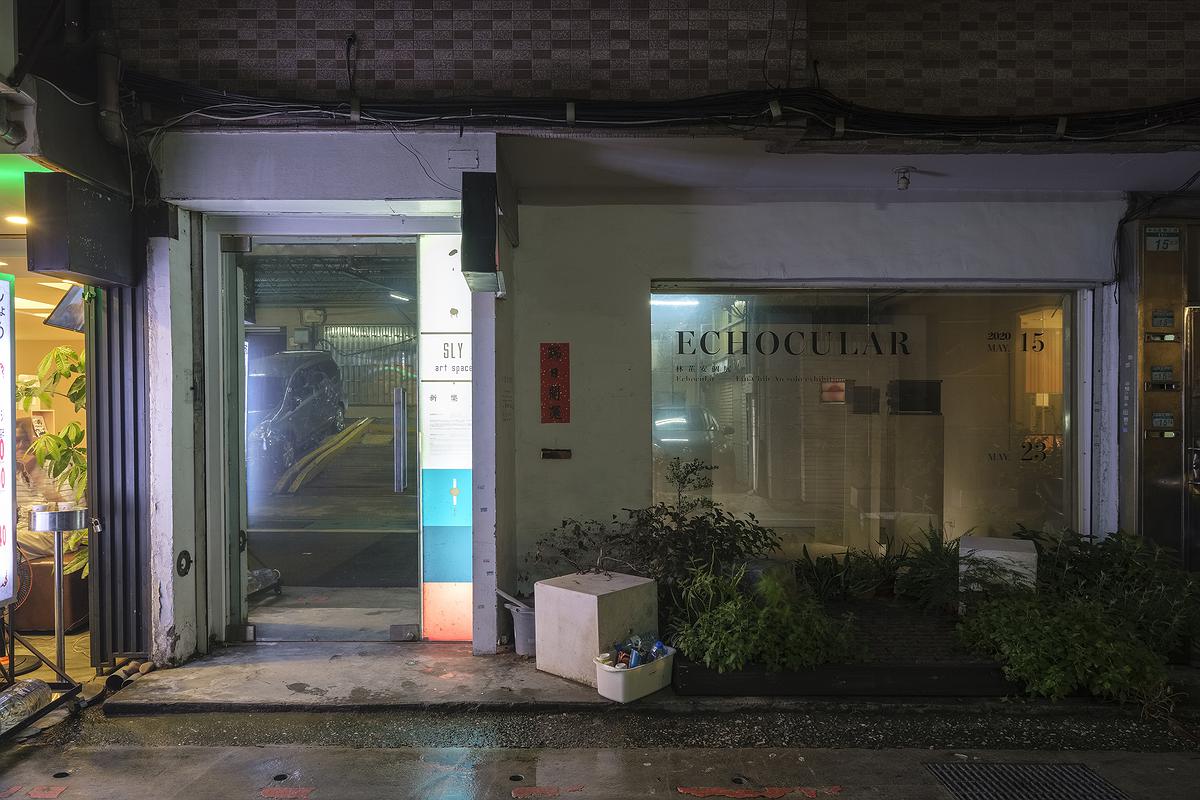 「視覺共鳴—回音模式」—林芷安創作研究 作品相片-25的封面圖