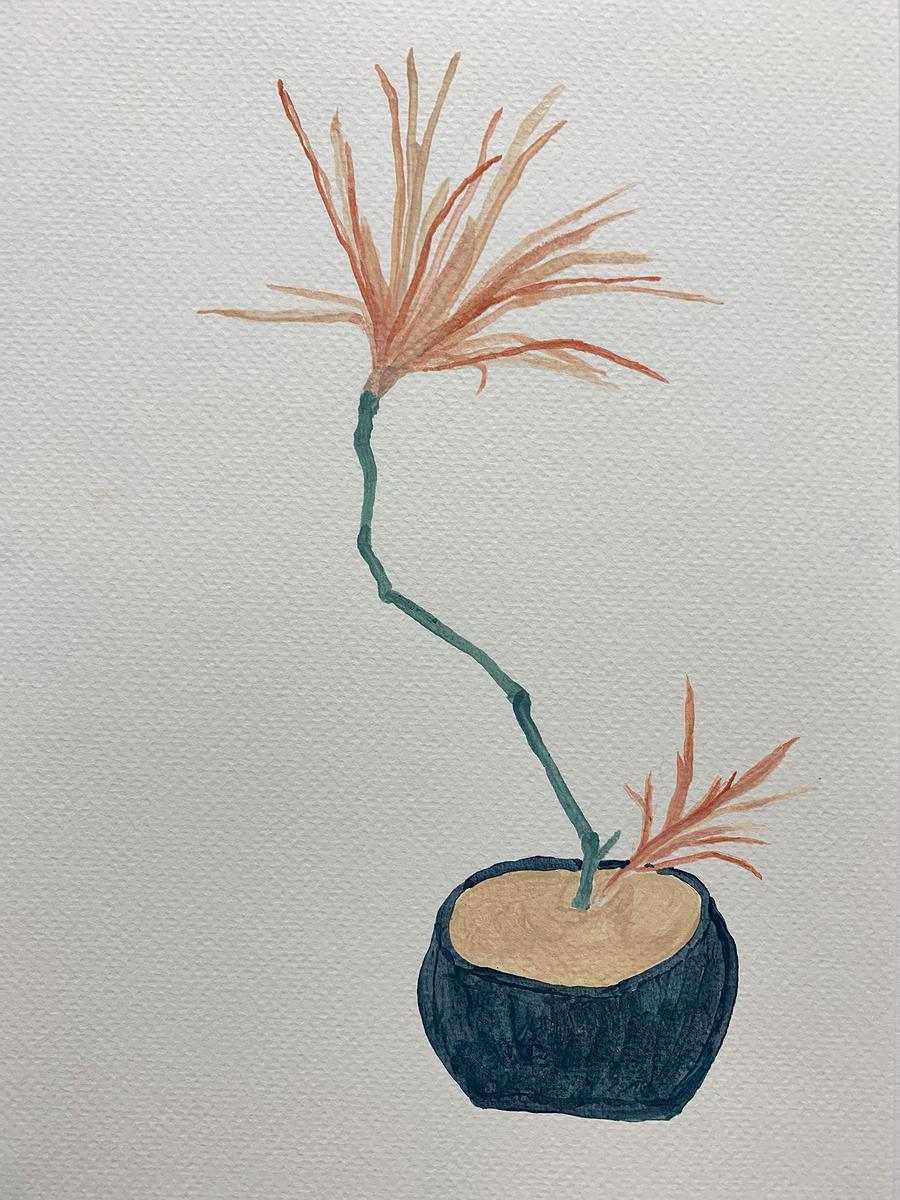 Plants Healing—A Discourse on Ying-Syuan Huang's Artworks's Cover