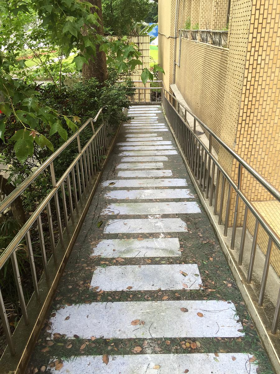 平面化29的封面圖