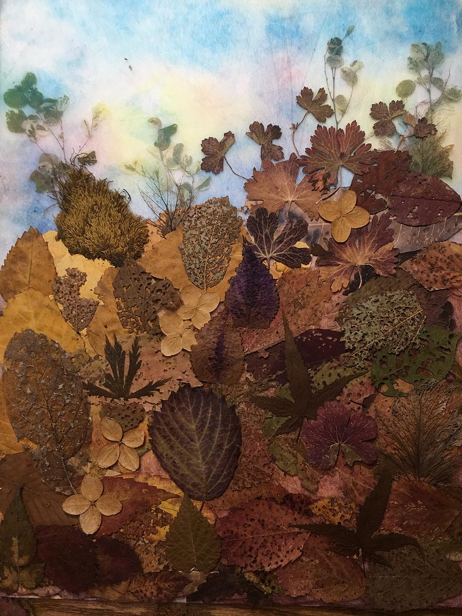 蟲咬葉2-山丘的封面圖