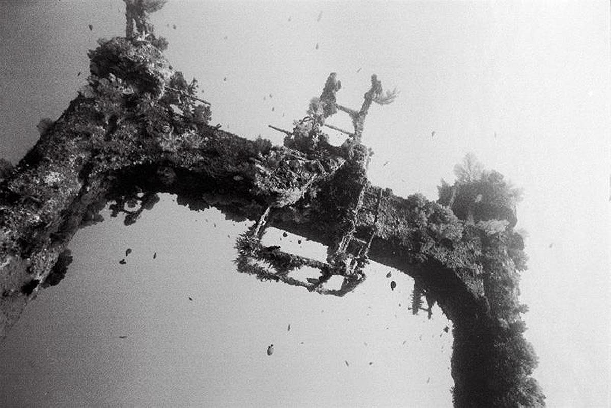 Lanyu of Seeing-38's Cover