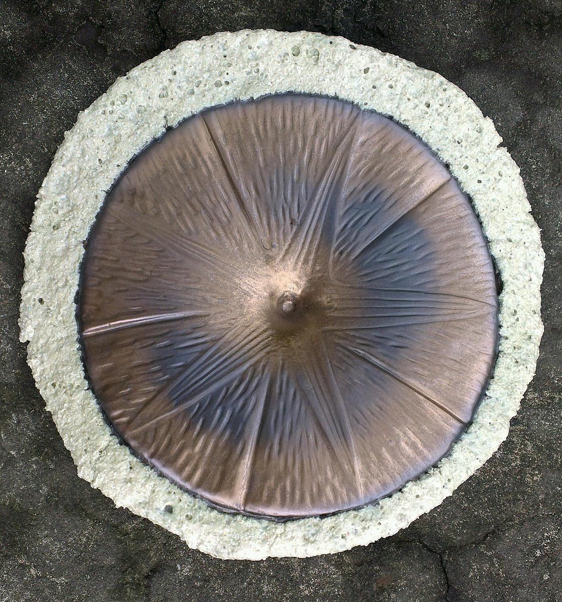 牽花作伴－椅墊3的封面圖
