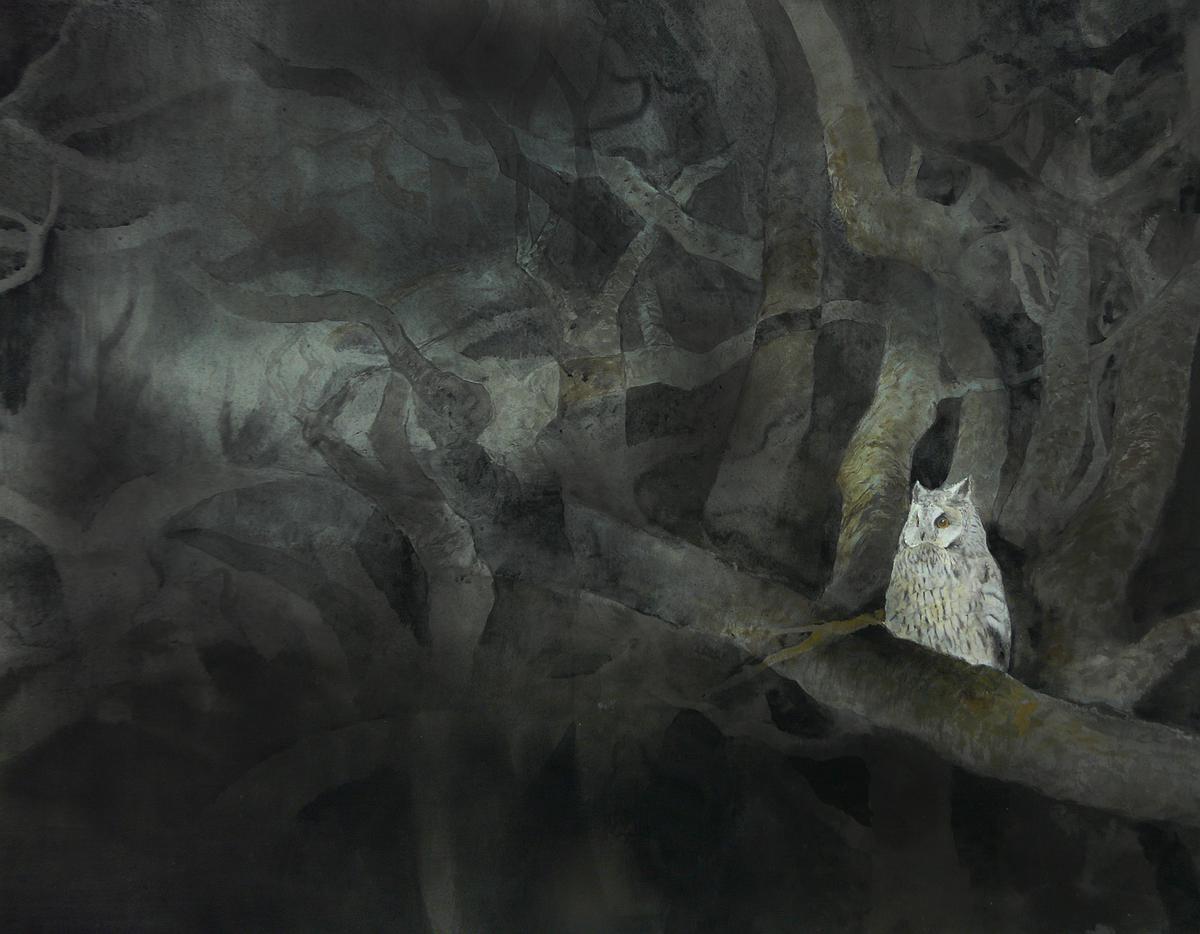 02.照不亮的夜的封面圖