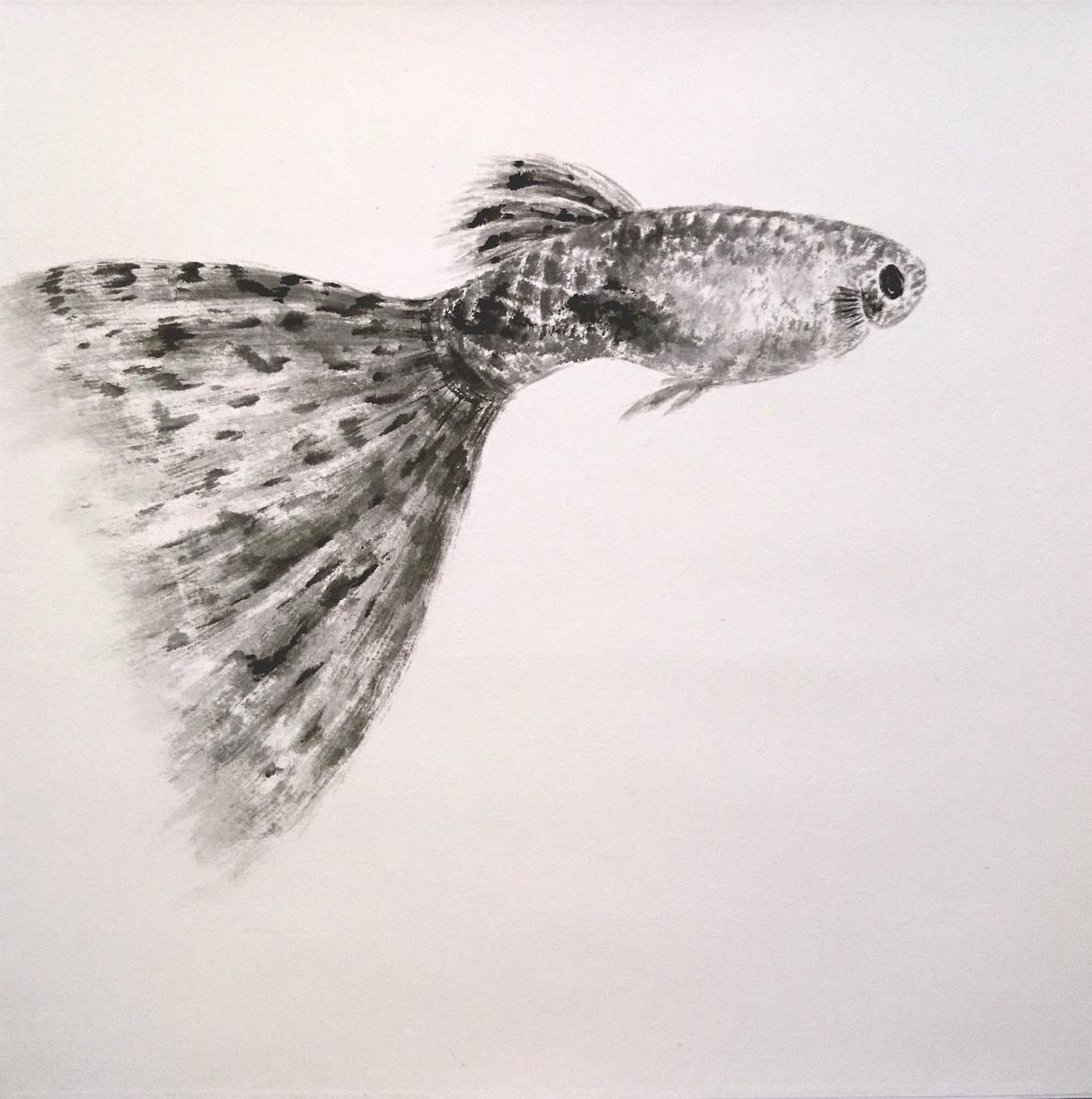 Carefree・Inspiring-The Thesis of Chinese Ink and Color Painting's Cover