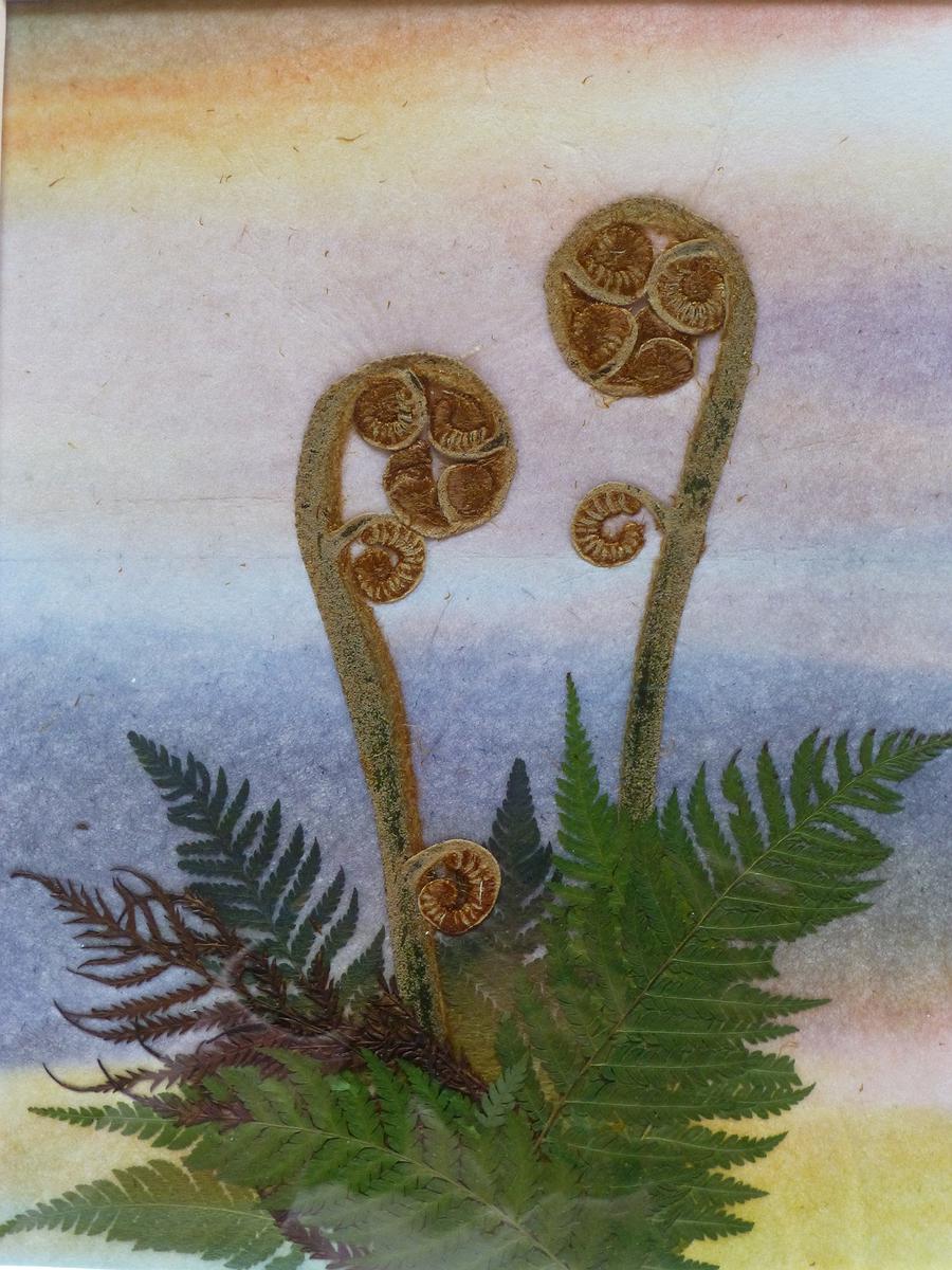 1 蕨芽的封面圖