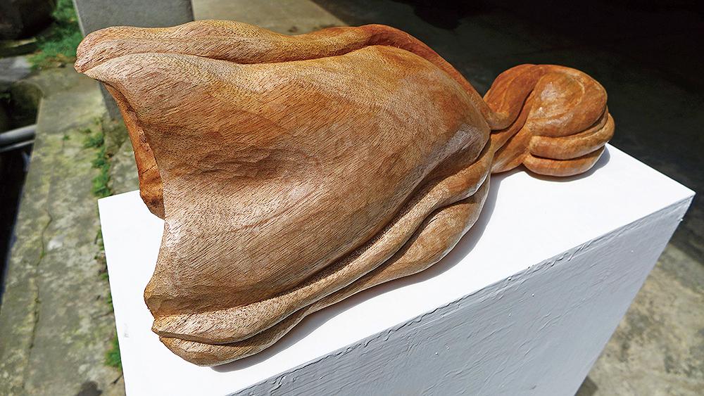 2014鰭b的封面圖