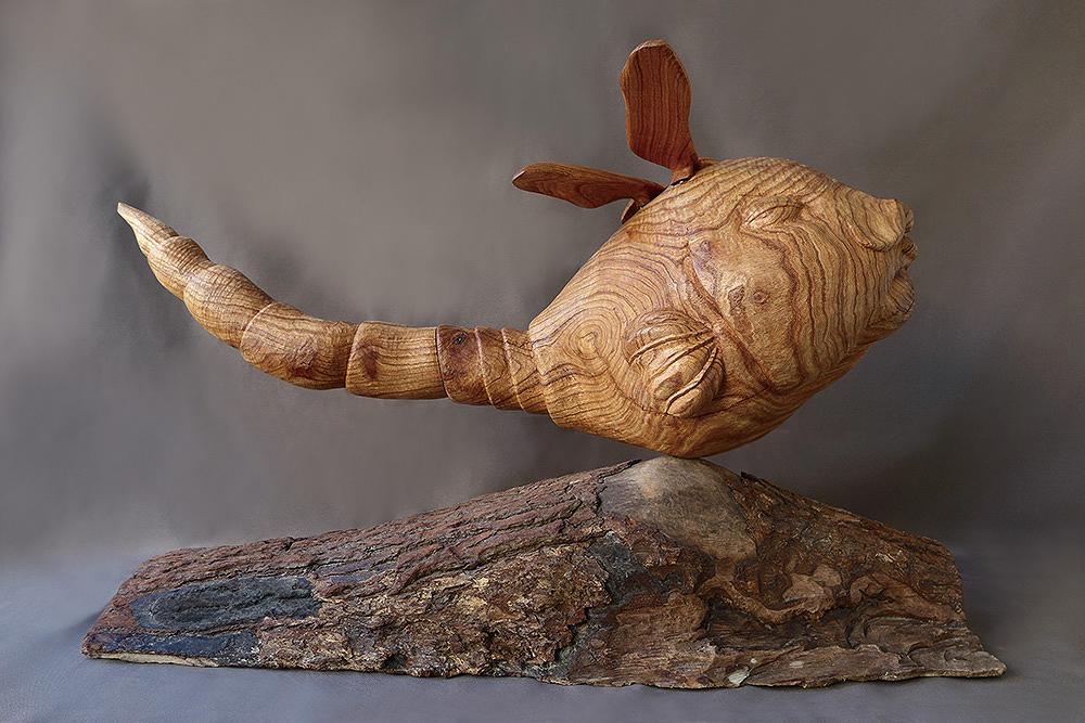 2013蜻蜓魚b的封面圖