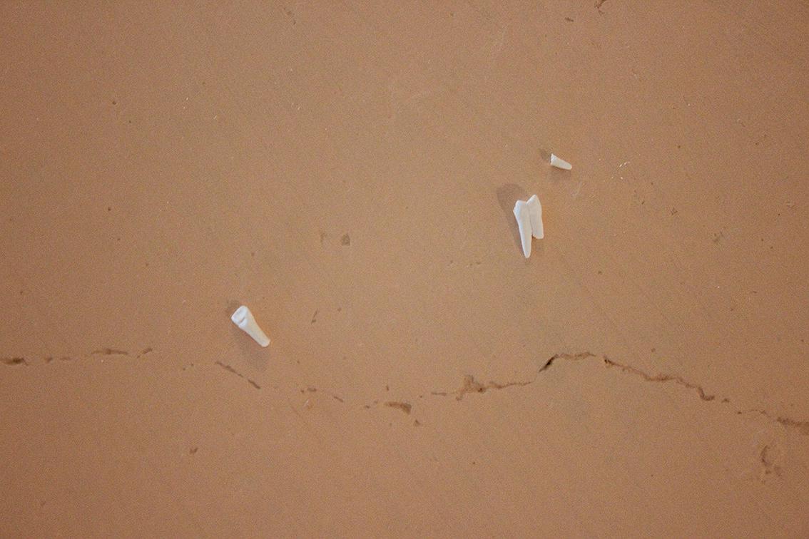 Memory Text/Perceptual Situation/Syun Kuan - 41's Cover