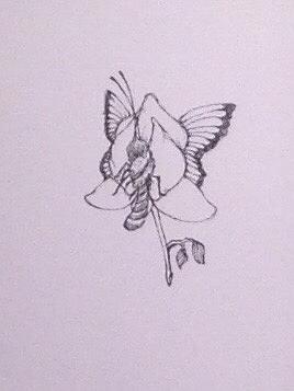 圖載場—白虛與夜實的生物世界-32的封面圖