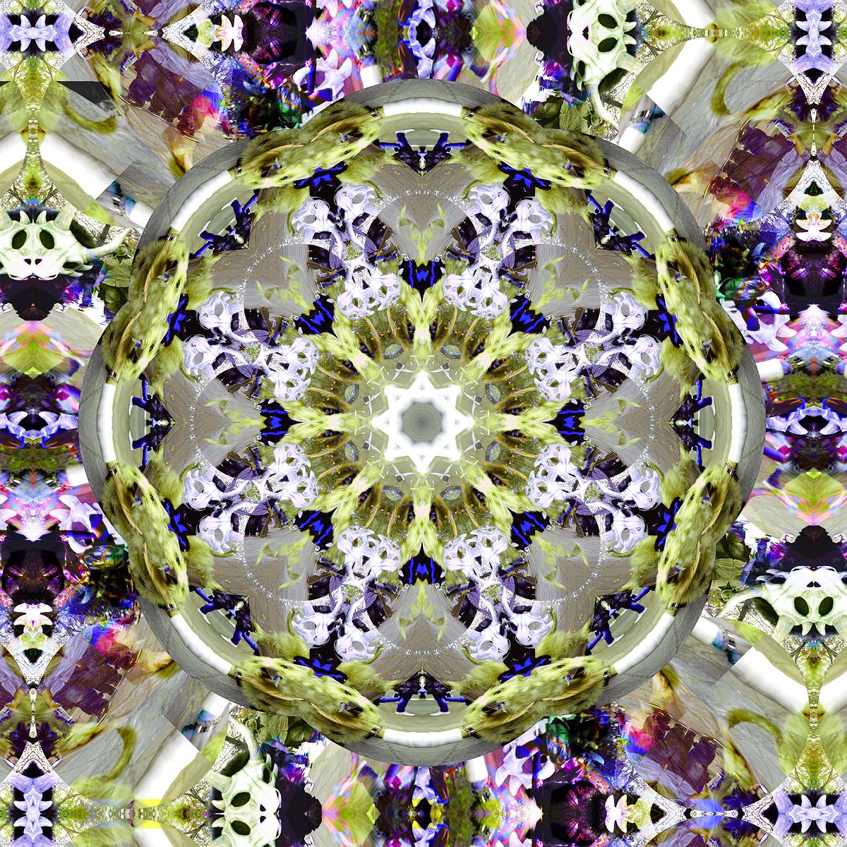 The Study of Using Mandala Drawing for Emotional Relief's Cover