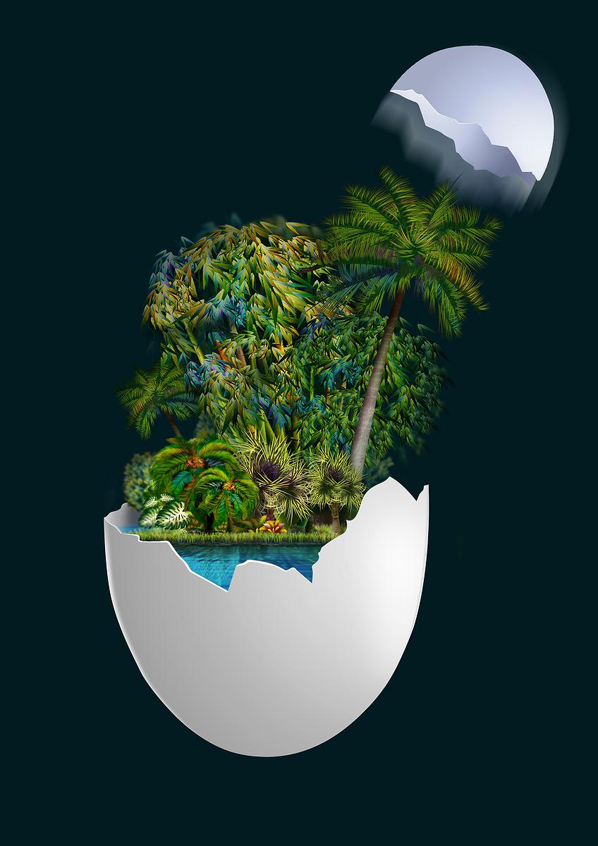 Maze in Green Jungle–Using Surrealistic Rendering of Illustrations on Native Plants in the Songshan Cultural and Creative Park's Cover