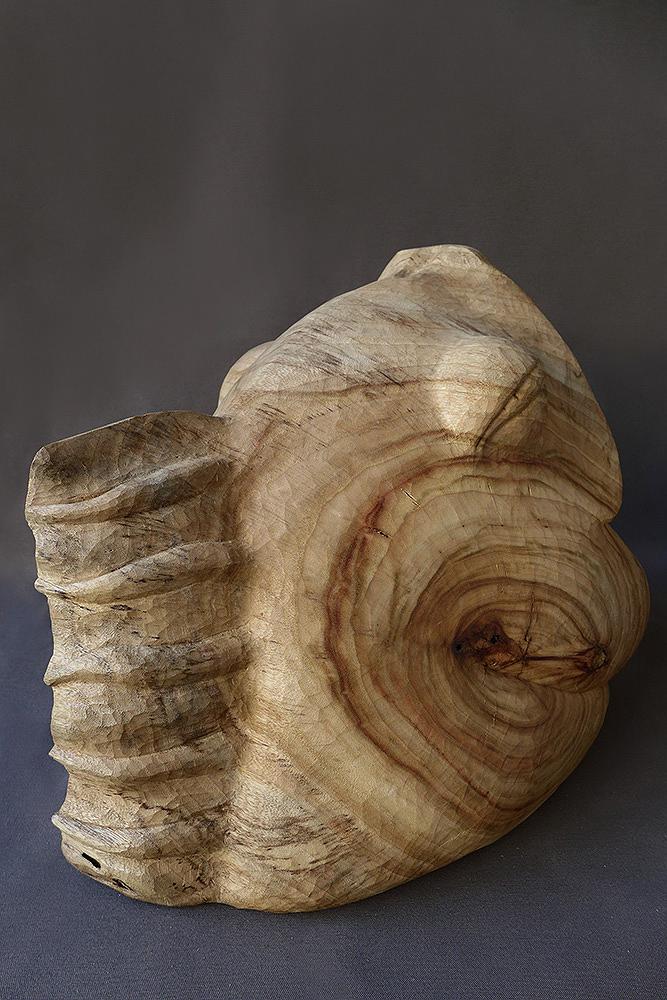 2013共生b的封面圖