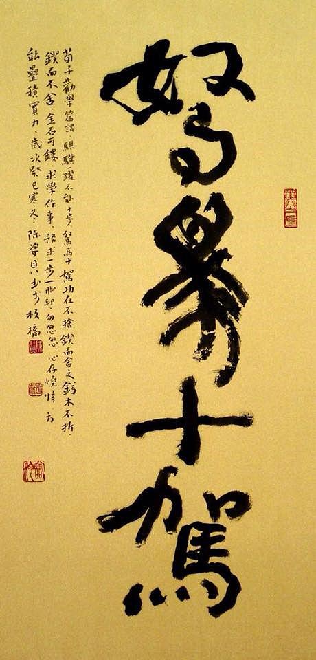 15.駑馬十駕的封面圖
