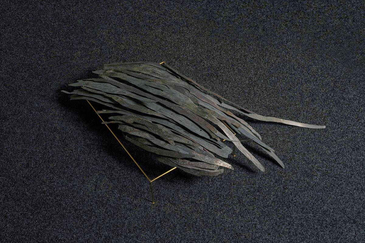 2025_15_The_ScarII_aluminium_2的封面圖