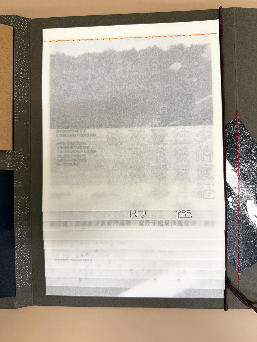 偏廢-B冊的封面圖