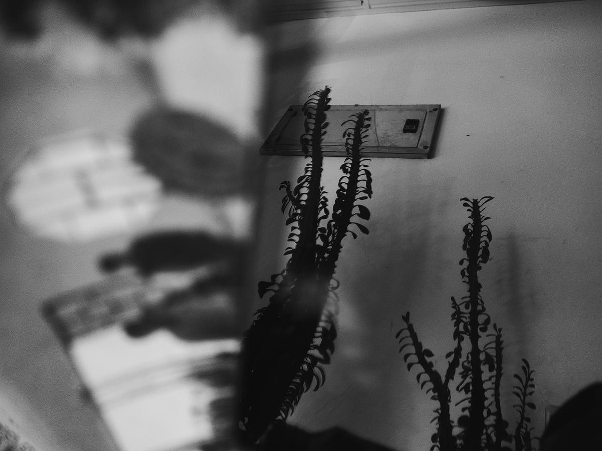 島離-夢-9的封面圖