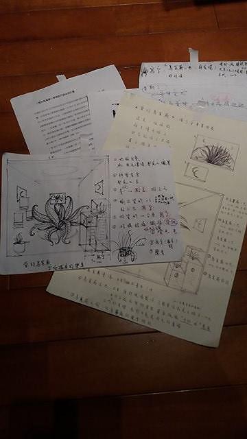 11陳于安，〈愛的鳥巢蕨  究極溫柔的樂章〉計畫資料的封面圖