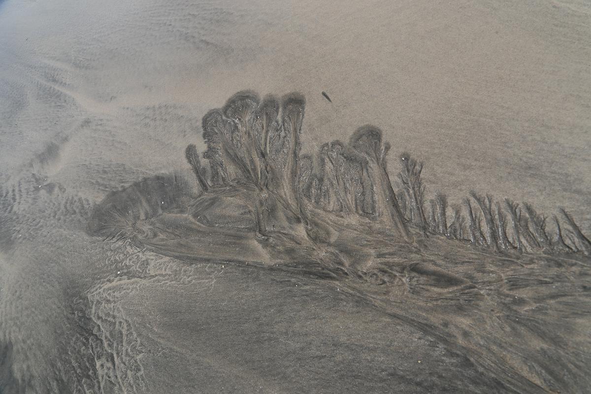 水紋系列-森之生-2017-澎湖的封面圖