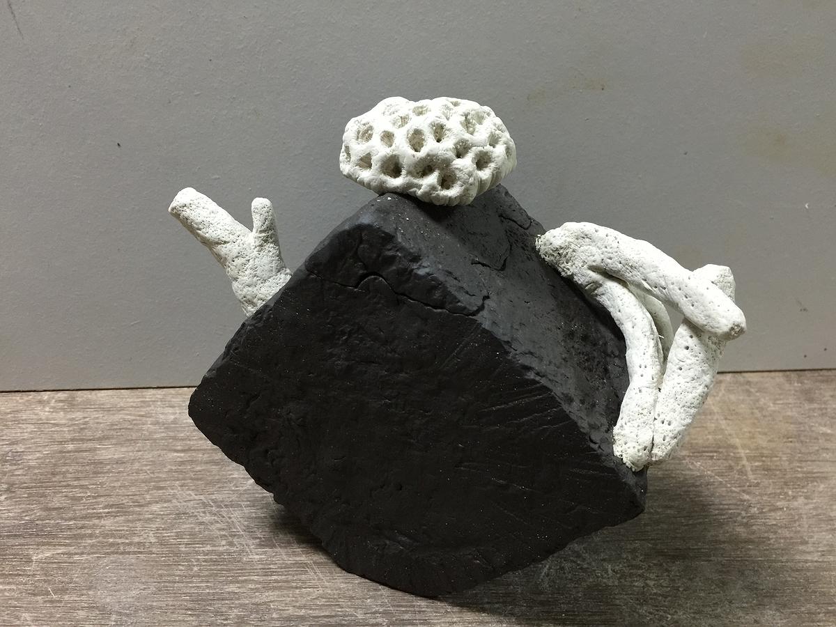 珊瑚礁壺 (11)的封面圖