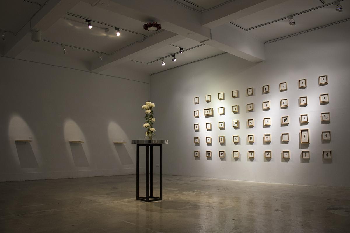 多線創作的首拍：陳昱廷創作研究 30 陳昱廷，〈決定出生〉，白菊花、劍山、不銹鋼水盤、透明片，整體大小60x60x96公分(不含白菊花)，2021年4月。7的封面圖