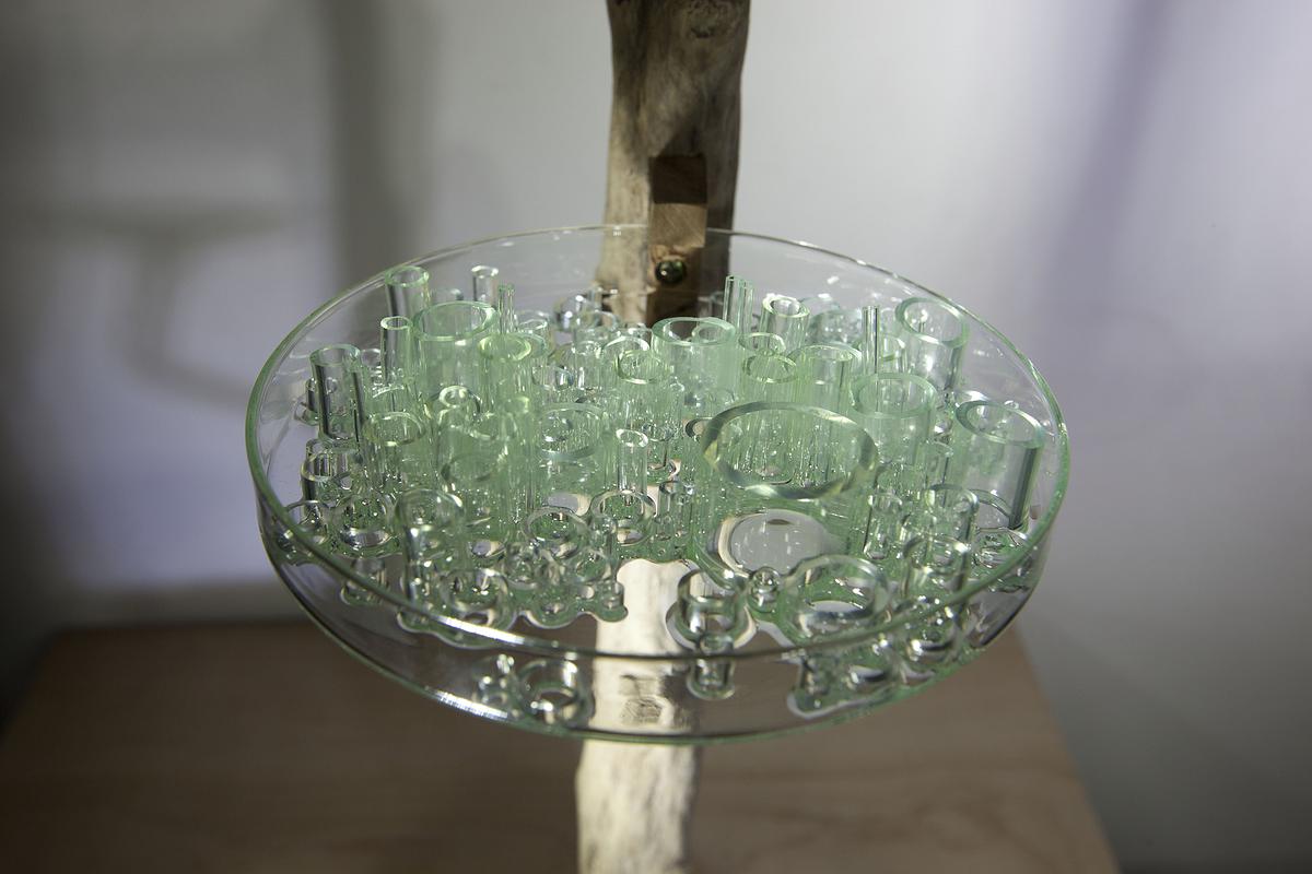 培養皿-後照鏡b的封面圖