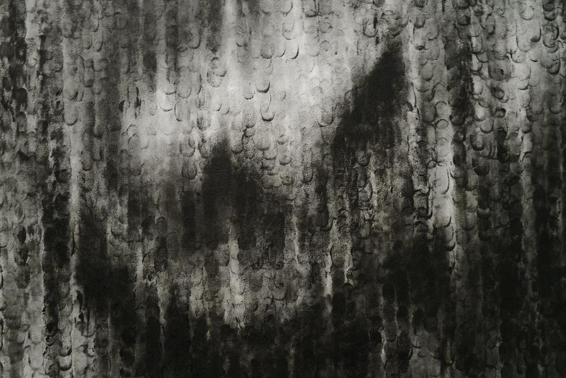 〈印相-指往2〉局部的封面圖