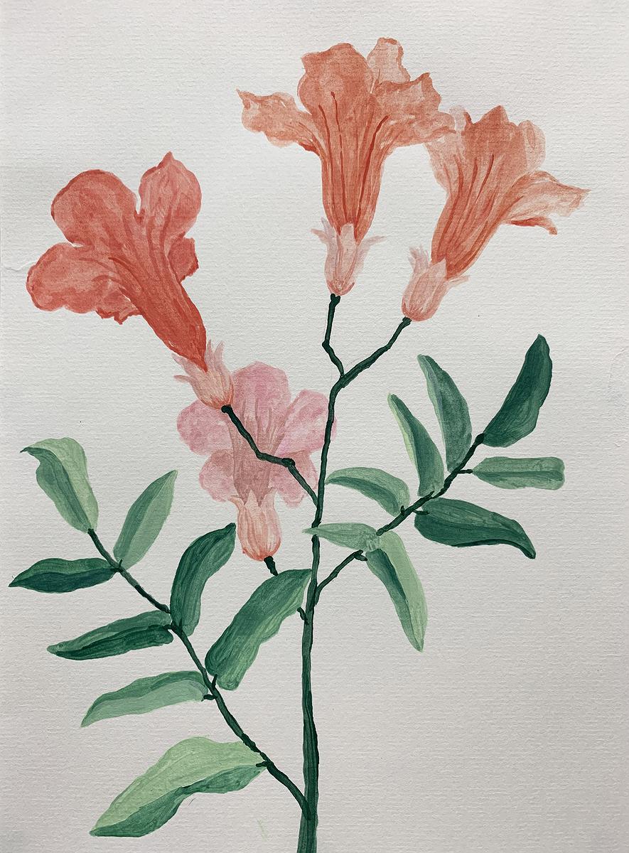 Plants Healing—A Discourse on Ying-Syuan Huang's Artworks's Cover