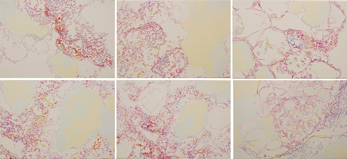 微觀之下的變異幻象–5的封面圖