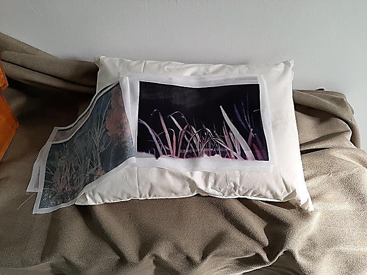 身體感知的視覺化-王睿瑋創作研究 13的封面圖