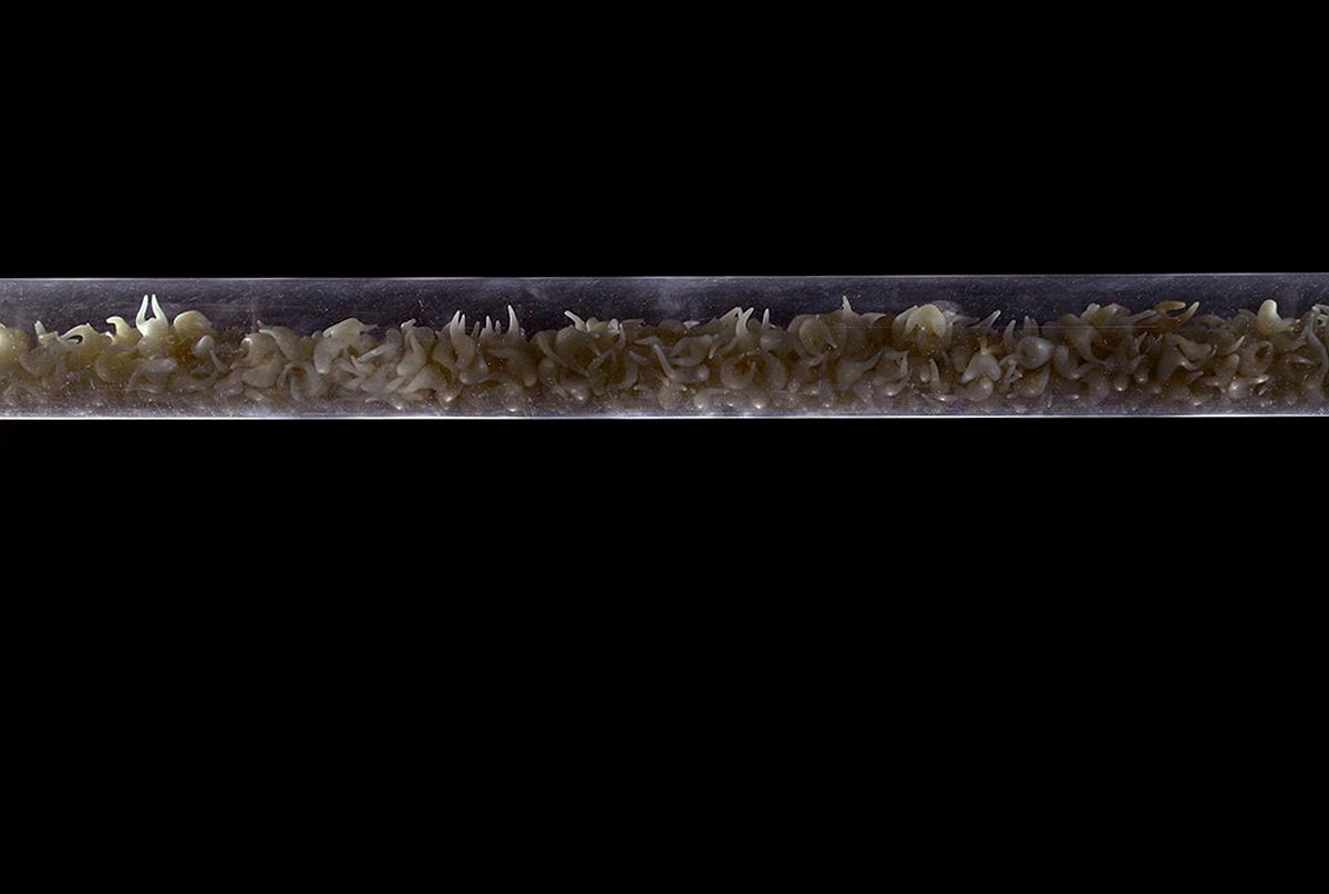 Perception and Inception of Body - The Creation Research of Liu, Hsin -Yi's Cover