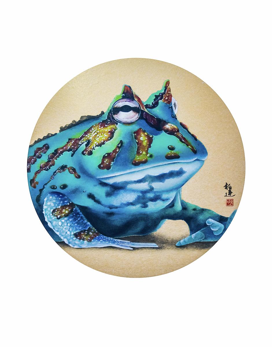 圓靈廣寒-藍金錢角蛙的封面圖