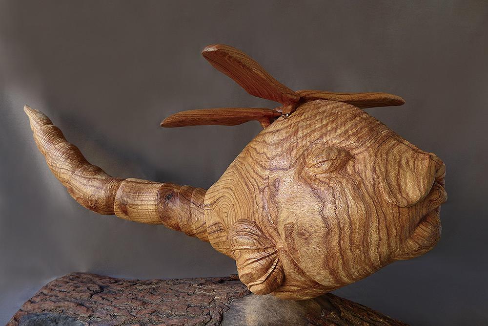 2013蜻蜓魚c的封面圖