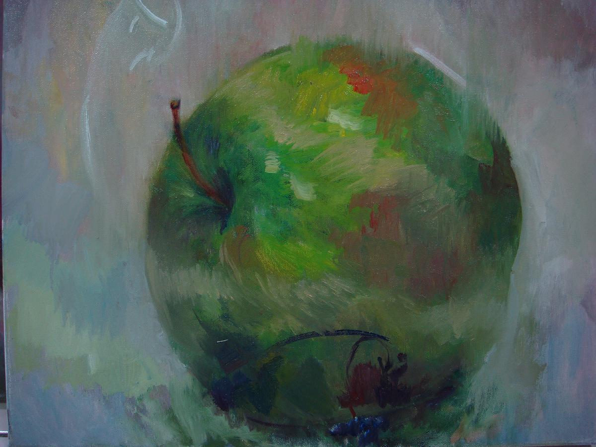 49魚的幻想的封面圖