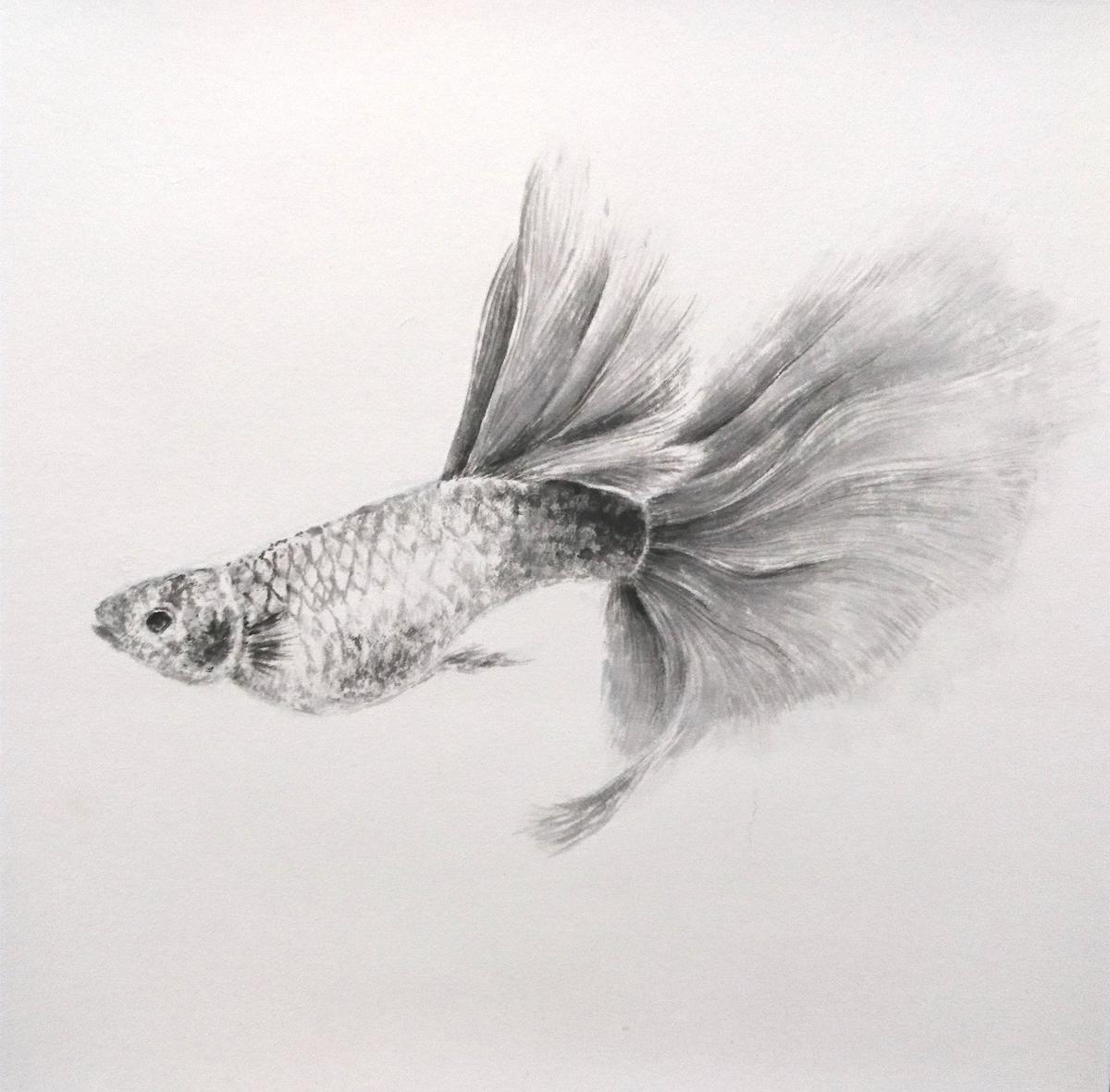Carefree・Inspiring-The Thesis of Chinese Ink and Color Painting's Cover