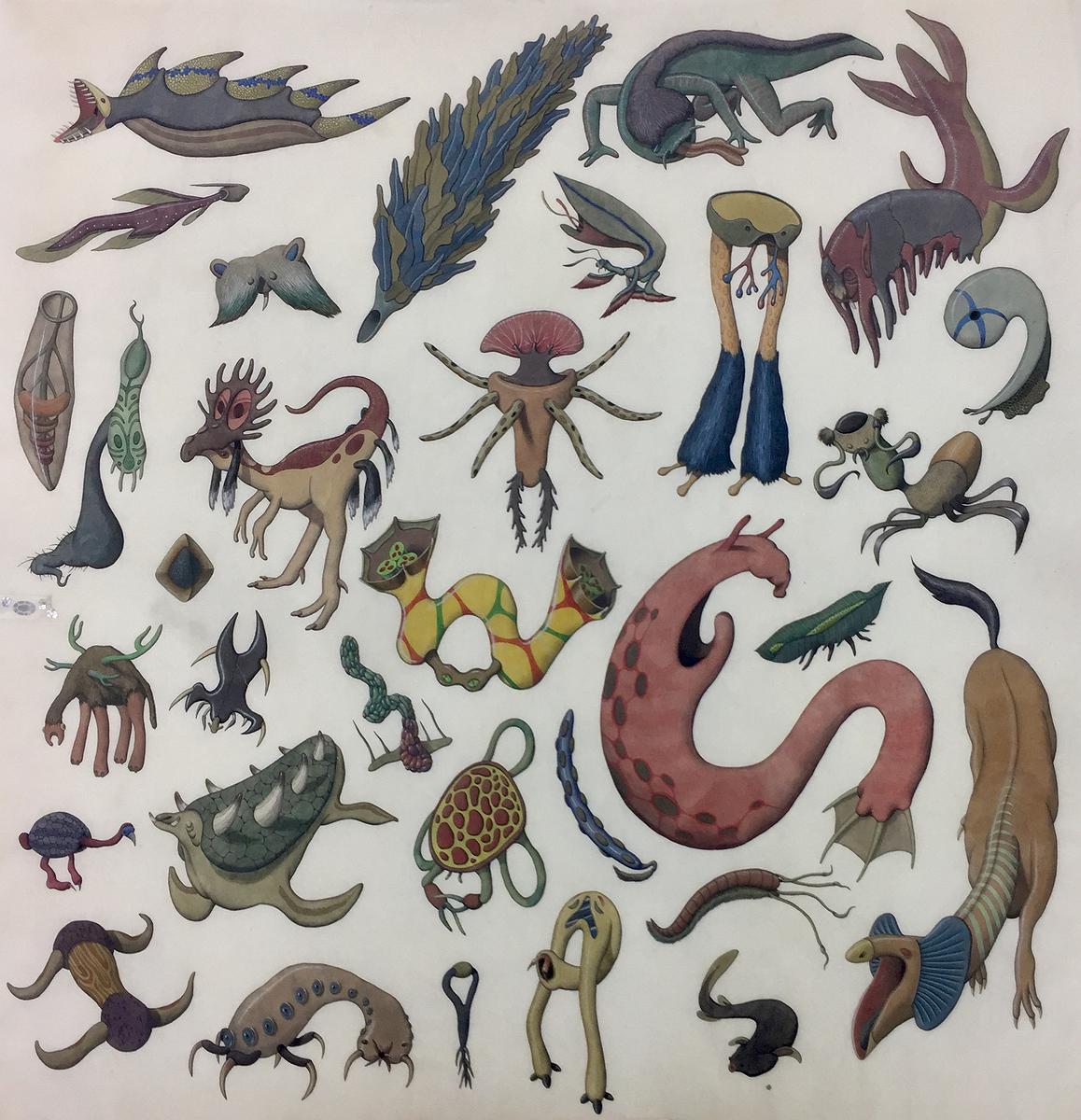 作品20 有盾龍的圖鑑的封面圖