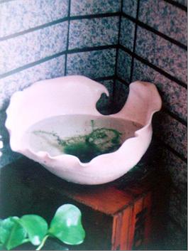 荷秀扁舟－園藝植栽容器的封面圖