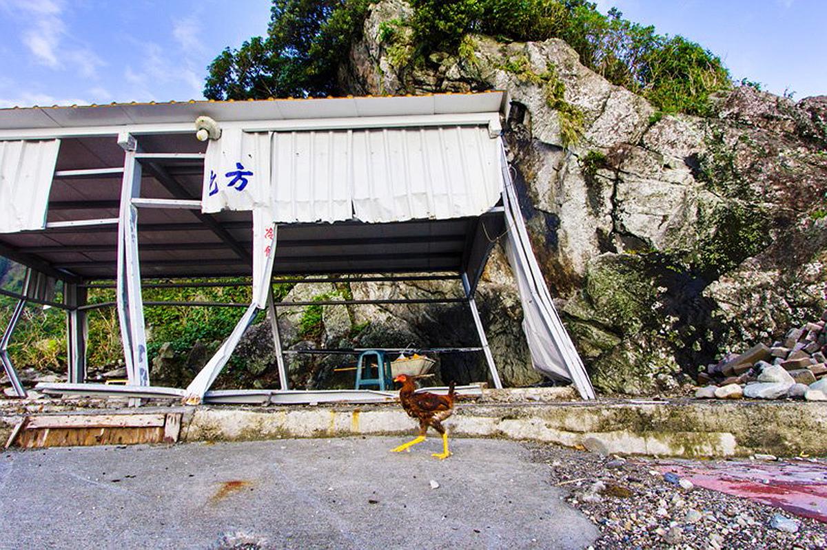 Lanyu of Seeing-19's Cover