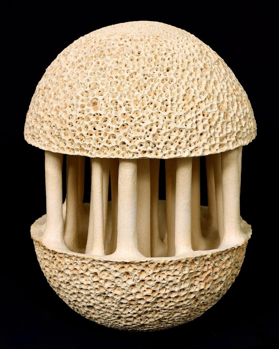 與植物對話 — 魏金蕊陶藝創作論述-《變種》的封面圖